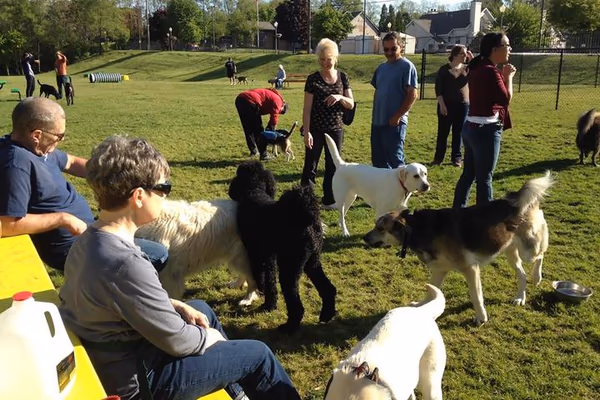 South Bend Dog Park photo 1